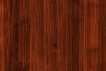 Obraz premium acacia timber tree wooden surface wallpaper structure texture background