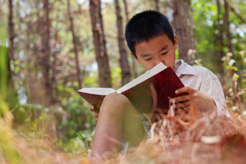 Asian boy is sitting reading a book on a timber in the forest.