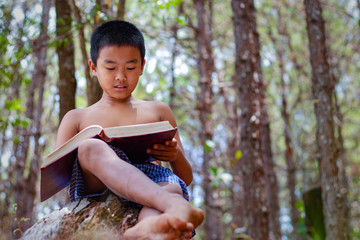 Asian boy is sitting reading a book on a timber in the forest.