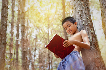 Asian boy is sitting reading a book on a timber in the forest.