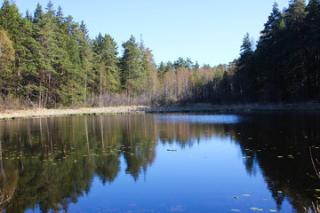 Fototapeta na wymiar Forest lake on a sunny summer day. Calm calm weather. 