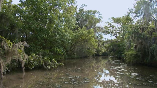 Mississippi bayou with a boat