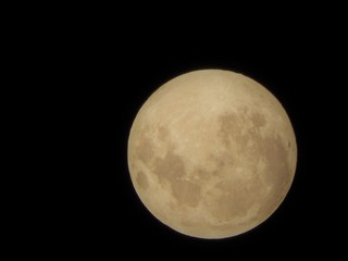 Obraz premium Luna