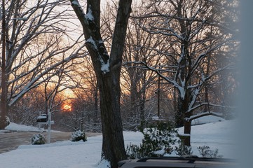 Fototapeta premium sunrise in snow