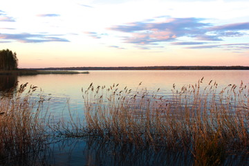 Fototapeta na wymiar Big lake in the evening. Summer. Calm calm weather. Smooth water