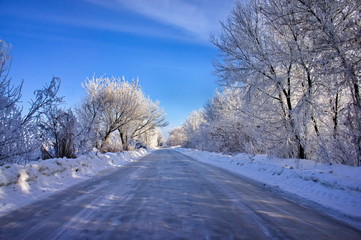 Winter snow covered trees. Snowy road. Winter road.