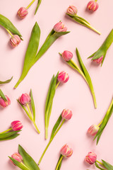 Floral pattern with pink tulips on pink background