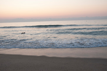 Fototapeta premium ocean sunrise 1