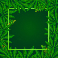 Green cannabis leaf Background vector illustration.