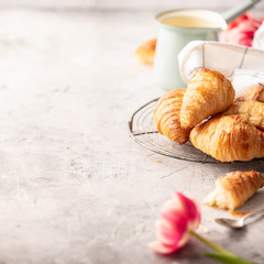 Morning coffee, croissants and spring tulips on light grey backg
