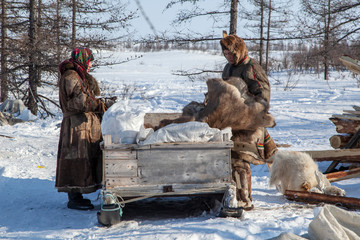 Residents of the far north,  the pasture of Nenets people, the dwelling of the peoples of the north...