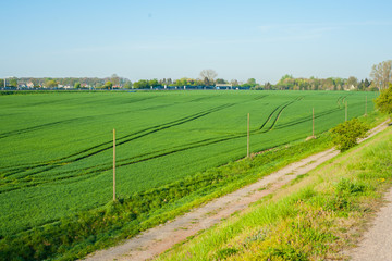 spring landscape of fields in Germany, field road leading into the distance