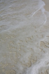 seychelles beach private island coconut