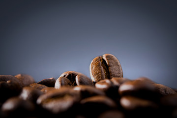 coffee beans on a dark blue background