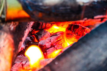 Burning wood in the fire