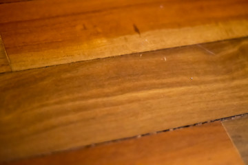 wood texture background