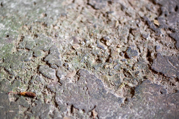 texture of a stone