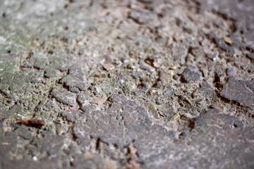 granite texture