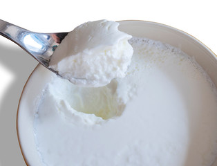 A spoonful over a bowl of fresh organic yogurt