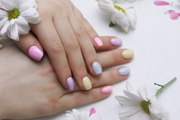 well-groomed, manicured fingers in pastel colors of the hand lie in the cut of petals and in the color of chrysanthemum