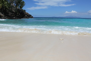 seychelles beach private island coconut