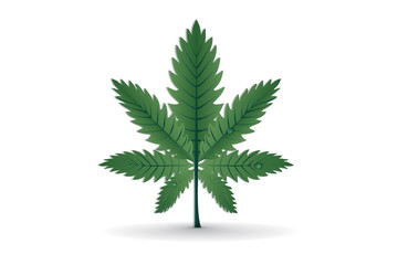 Cannabis leafs logo