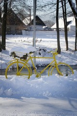 A completely yellow bicycle with a flower in a carrier stands in the snow.Snowy yellow bicycle with branches in carrier. The bicycle is a picturesque decoration.