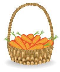 Fototapeta na wymiar Generous harvest. In a beautiful wicker basket, fresh carrots. The vegetables are very tasty and vitamin. It is necessary for cooking and healthy. Vector illustration