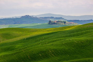 Fototapeta premium Crete Senesi green hills in Tuscany