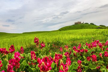 Obraz premium Crete Senesi green hills in Tuscany