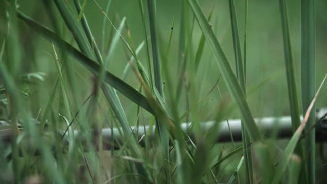 Sniper in firing position. Fully Equipped Sniper Soldier Wearing Camouflage. Side View Long Shot.