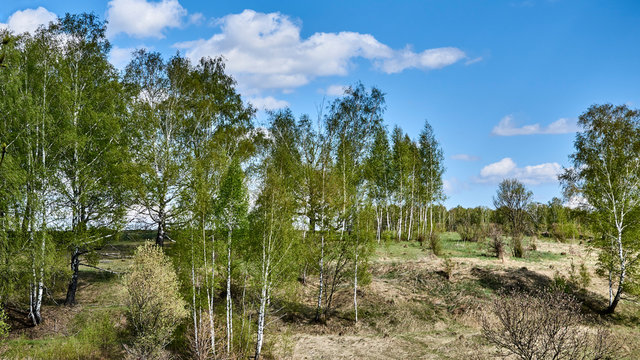 Russia. Spasskoe-Lutovinovo. Museum-estate of Ivan Turgenev. Panorama from Spassky pond to the South-East