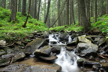 Panoramic beautiful deep forest waterfall