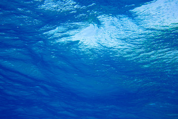 underwater scene with copy space