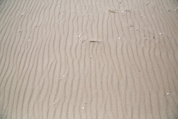 The beach of Zempin without footprints with fine, wind-generated grooves in the fine sandy beach..