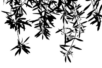 Abstrakt Olivenzweige - schwarz weiß 
