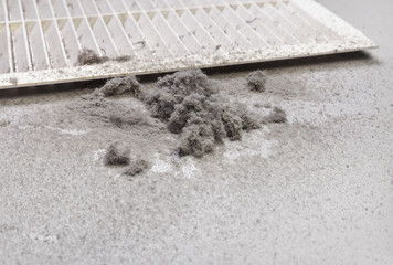 Dust collected from the air duct filter.