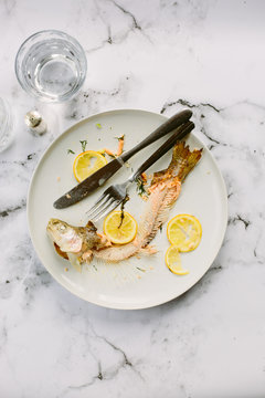 Leftovers of a meal of baked rainbow trout.