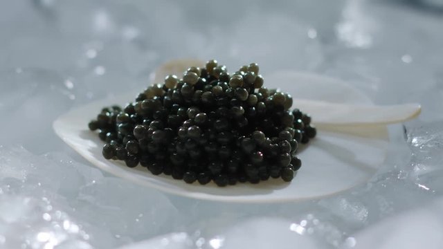 Black Caviar on Mother of Pearl plate rotation natural Shell Black Caviar on Mother of Pearl plate natural Shell Seafood High quality natural sturgeon black caviar close-up, Expensive