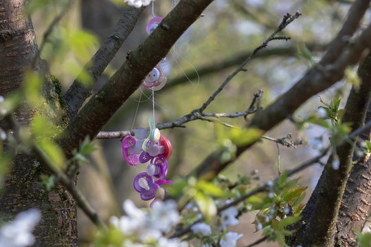 Schnullerbaum