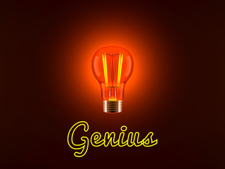 Light Bulb and Genius