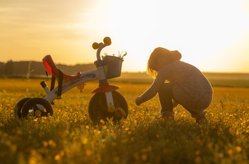 baby with his tricycle toy in field of yellow poppies in spring at sunset