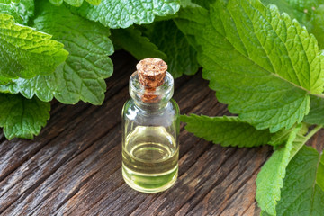 A bottle of melissa essential oil with fresh melissa twigs