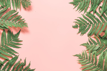Border leaves of fern on pastel pink. Top view, copy space. Summer background.