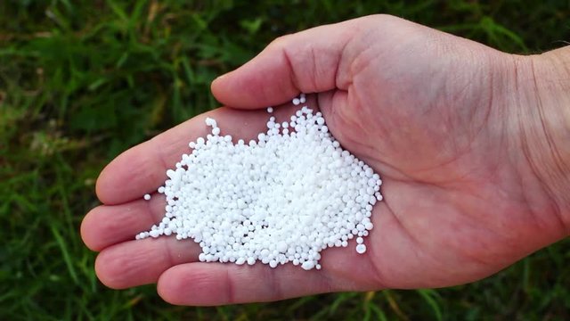 White nitrogen fertilizer in the palm of your hand