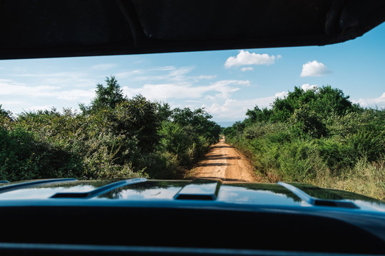 Safari jeep