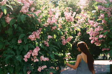 Atmospheric portrait among spring blossom. Out of focus