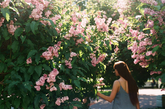Atmospheric portrait among spring blossom. Out of focus