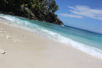 food halloween beach animals gourmet wedding