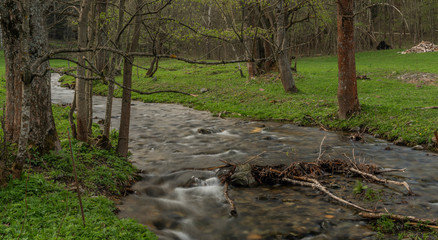 Branna river in spring cloudy evening with fresh green grass